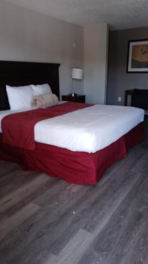 La Casa Inn New Port Richey Gulf Beach Us-19 Luaran gambar